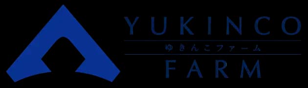 ゆきんこファーム｜北海道標茶町(しべちゃちょう)馬・羊・犬猫の生産、育成、調教馴致