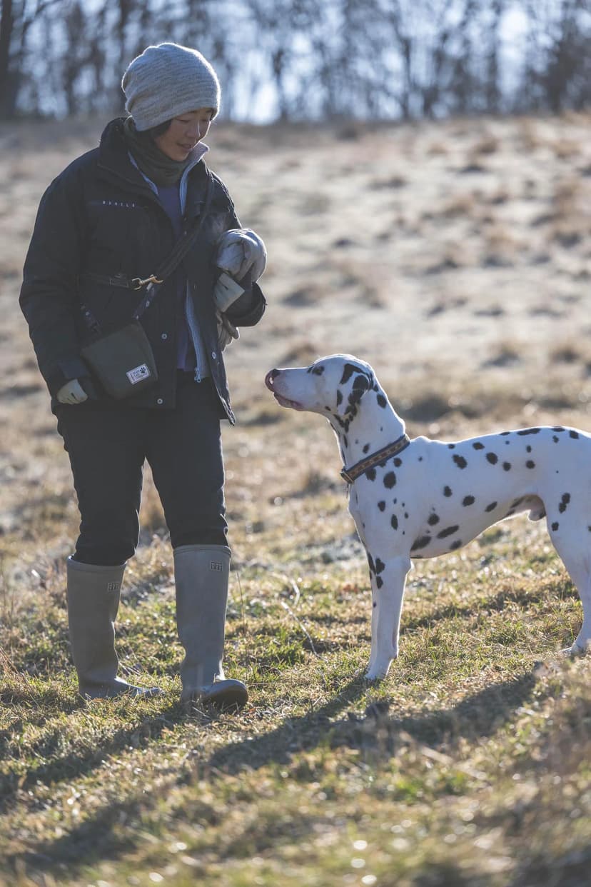 ゆきんこファームの業務風景