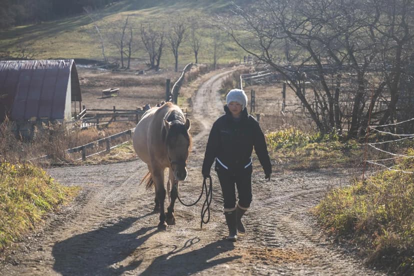 ゆきんこファームの業務風景