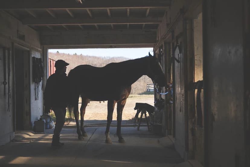 ゆきんこファームの業務風景