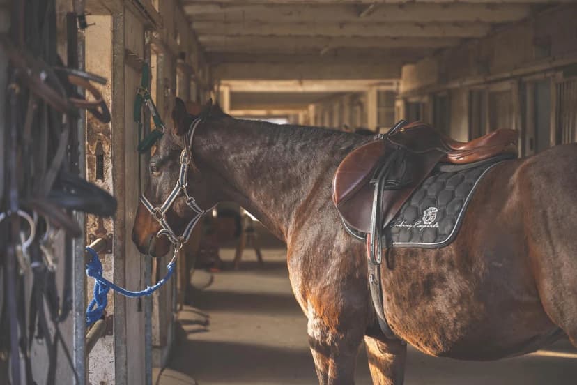 ゆきんこファームの業務風景