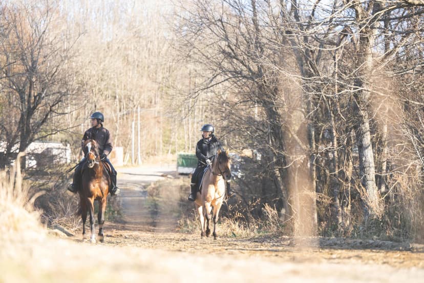 ゆきんこファームの業務風景