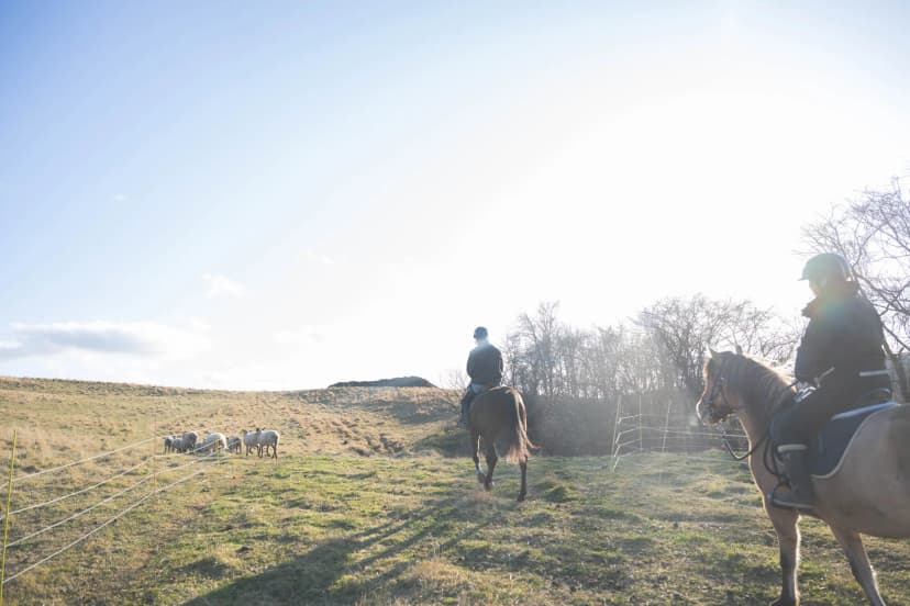 ゆきんこファームの業務風景