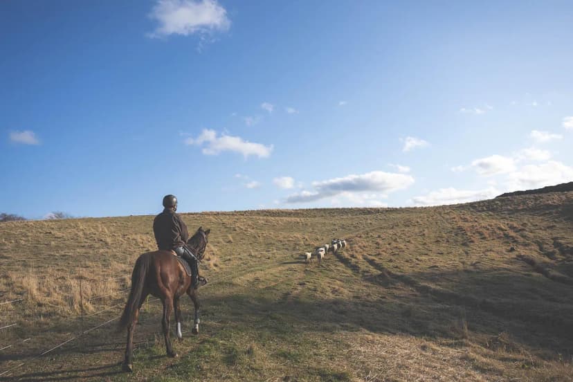 ゆきんこファームの業務風景
