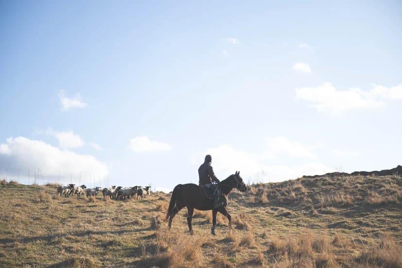 ゆきんこファームの業務風景