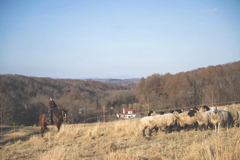 ゆきんこファームの業務風景