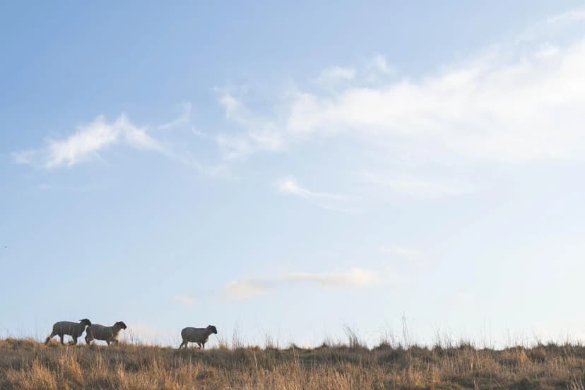 ゆきんこファームの業務風景