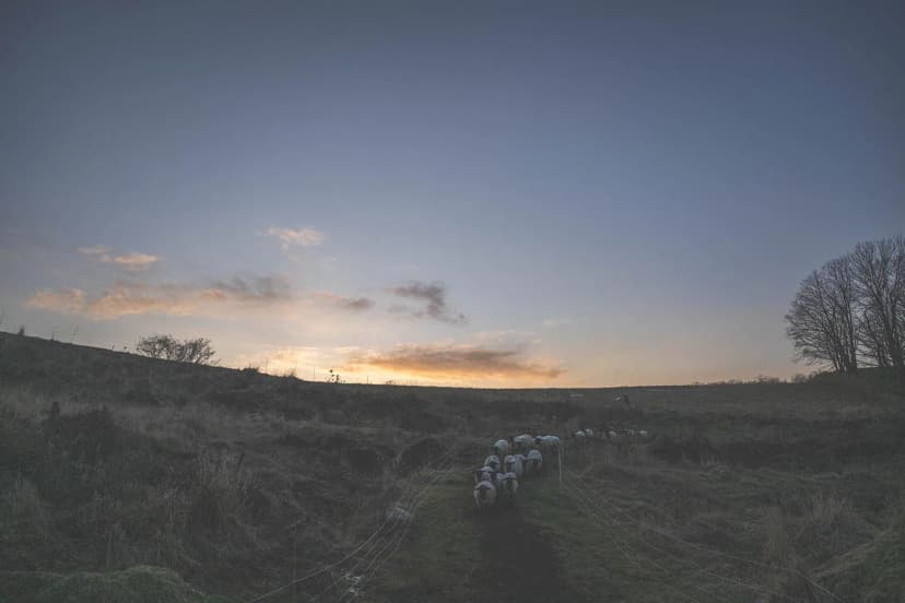 ゆきんこファームの業務風景