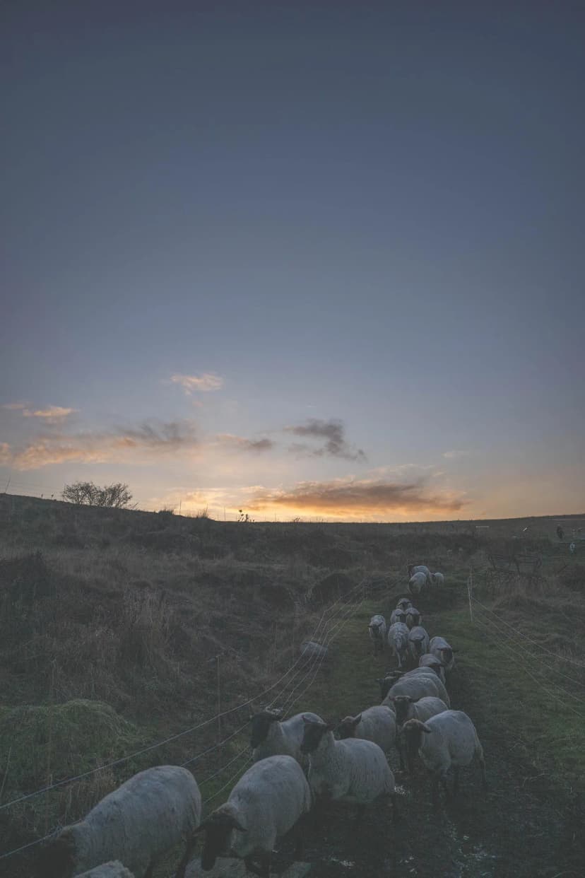 ゆきんこファームの業務風景