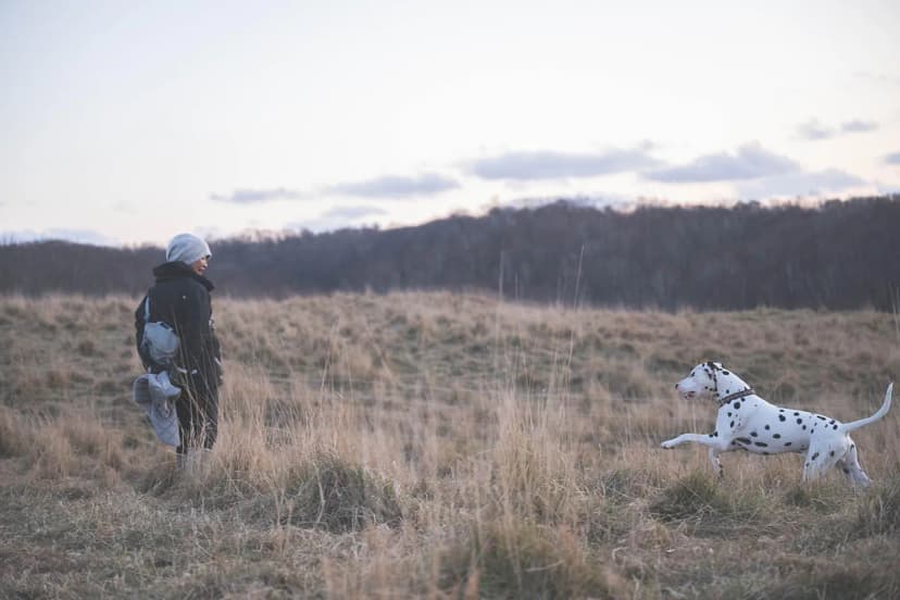 ゆきんこファームの業務風景