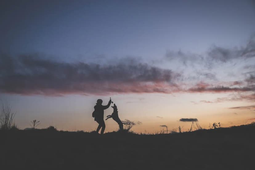 ゆきんこファームの業務風景
