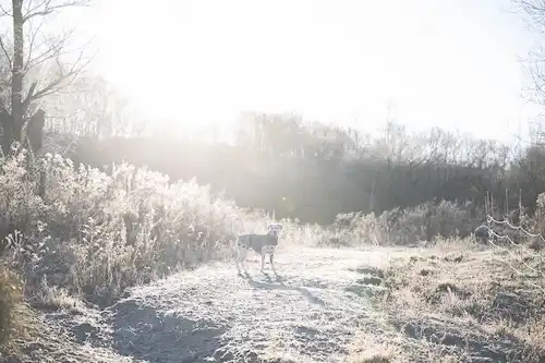 ゆきんこファームの業務風景