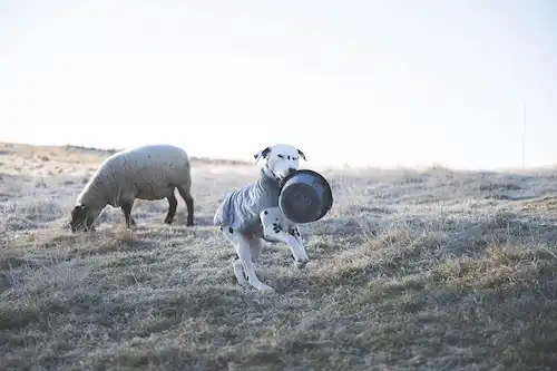 ゆきんこファームの業務風景