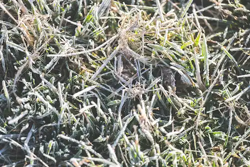 ゆきんこファームの業務風景