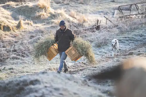 ゆきんこファームの業務風景