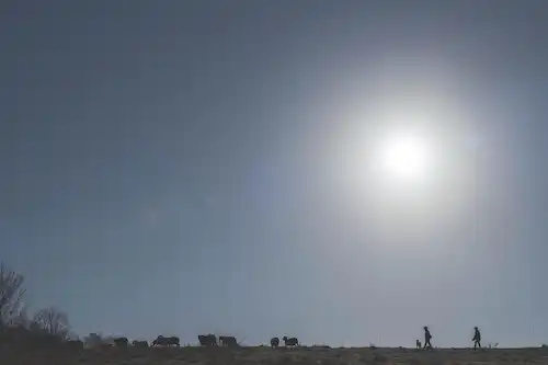 ゆきんこファームの業務風景