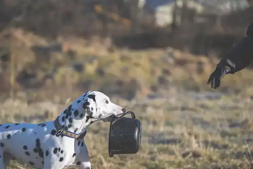 ゆきんこファームの風景