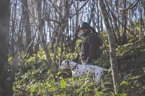 ゆきんこファームの風景