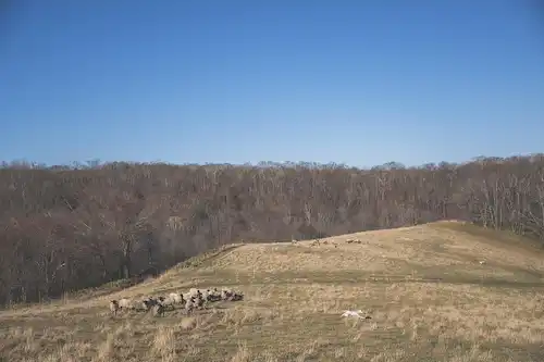 ゆきんこファームの業務風景