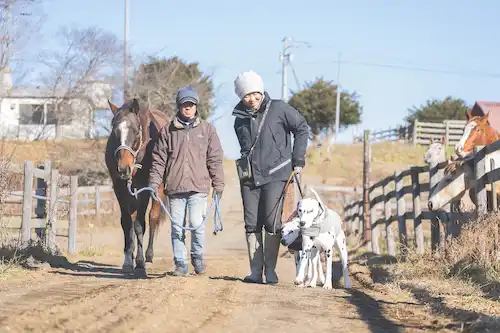 ゆきんこファームの業務風景