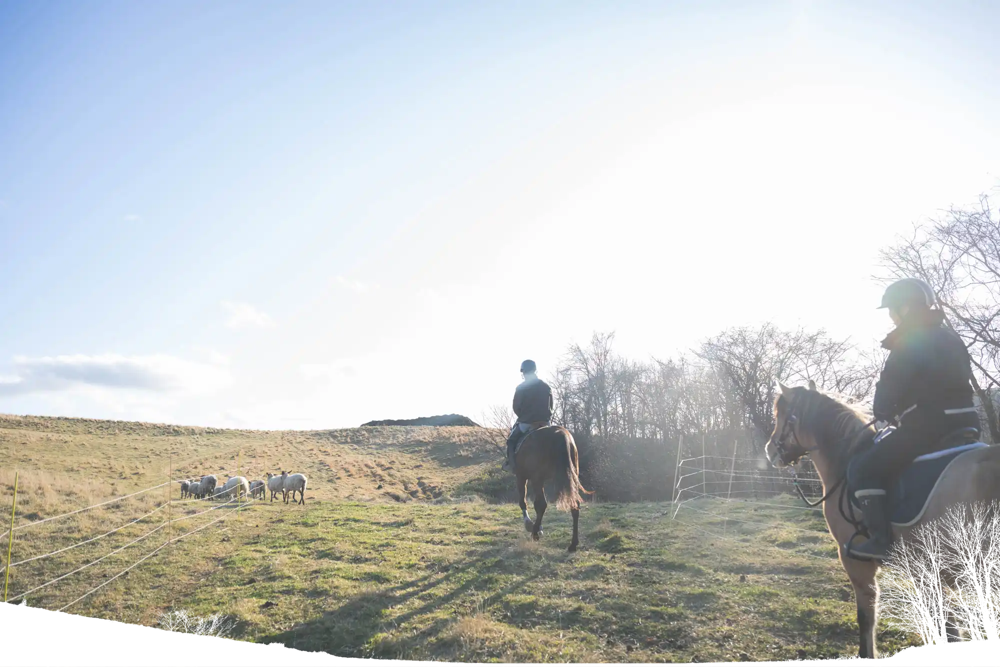 ヒーローイメージ